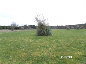 terrain agricole à la vente -   40140  SOUSTONS, surface 4165 m2 vente terrain agricole - UBI435865091